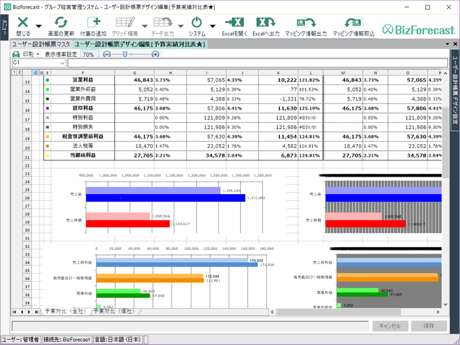 User-Designed Report Function