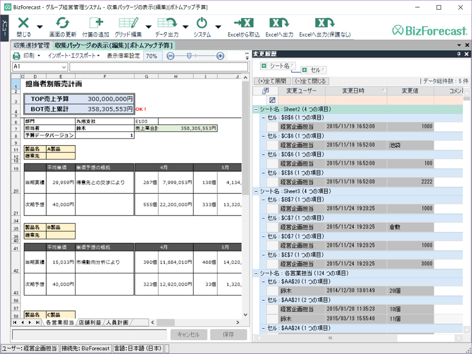 Internal Control and Audit Capabilities